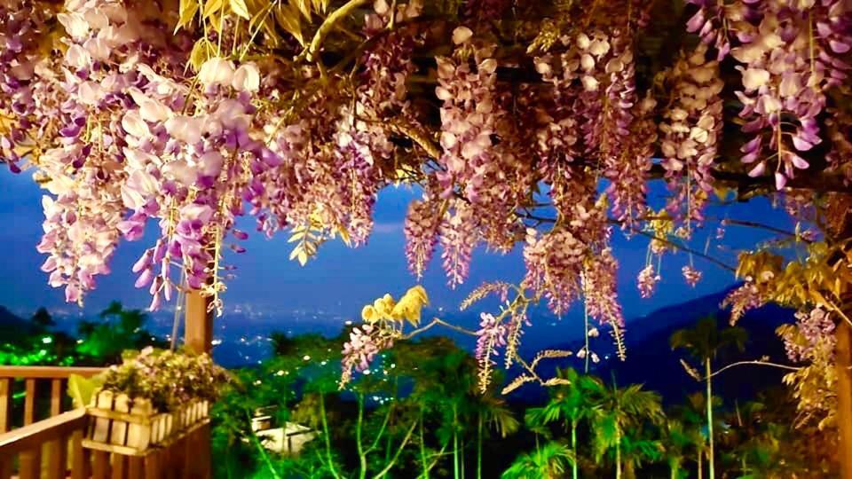 Starlight Forest B&B Jinshi Buitenkant foto